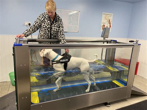 veterinary underwater treadmill cost